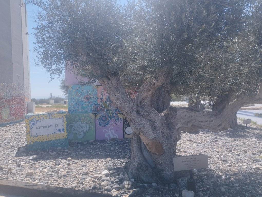 זיתים לזכר נרצחי הנובה בנתיב העשרה